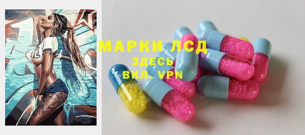 сатива Белоозёрский