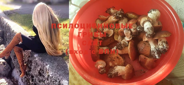 ПСИЛОЦИБИНОВЫЕ ГРИБЫ Беломорск