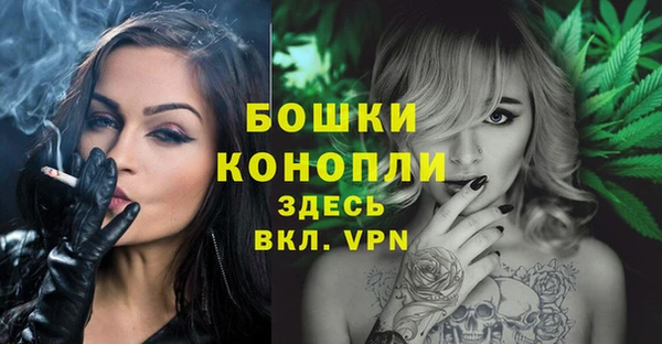 Альфа ПВП Белокуриха