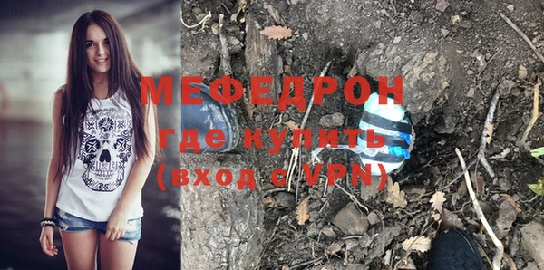 индика Сосновоборск
