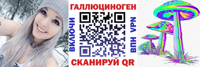 где найти   Гудермес  Галлюциногенные грибы GOLDEN TEACHER 